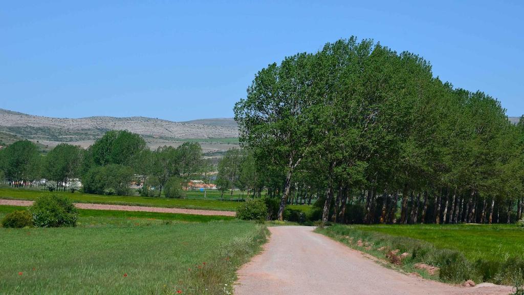 Hotel Rural Casa Ramiro Cedrillas Luaran gambar